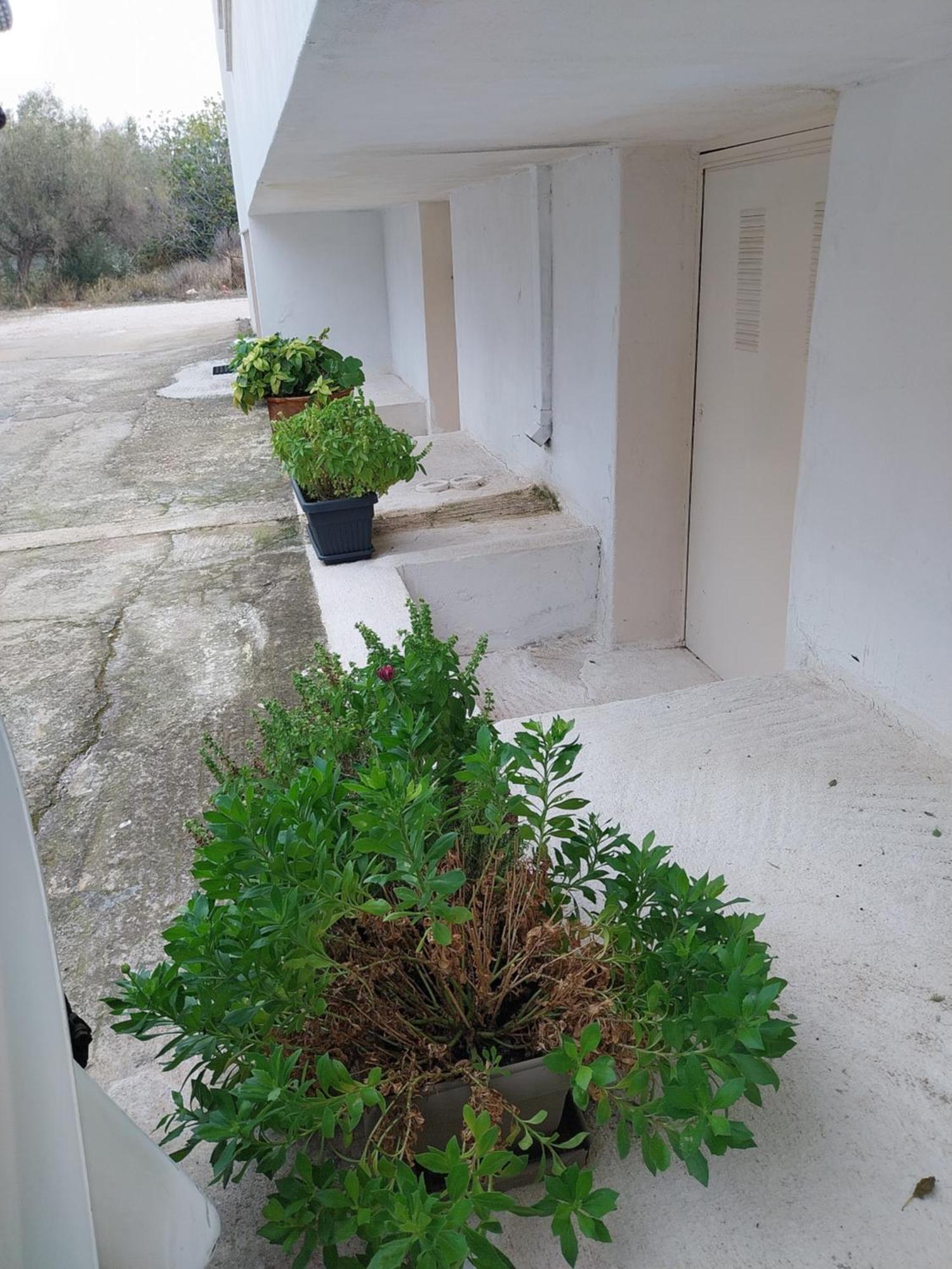 Nav Apart, Salamina Paloukia Esterno foto